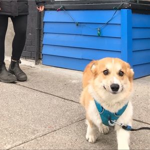 Meet your Posher, Rachel